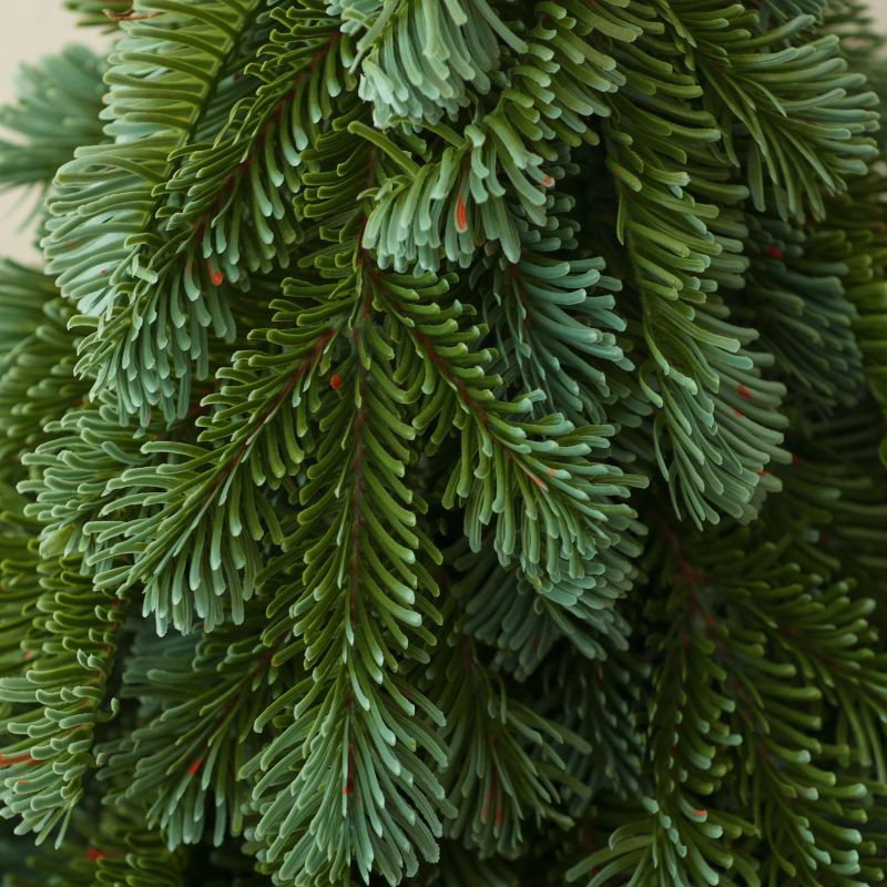 Christmas,Personalized,Christmas tree - PE material simulated Nobel pine tree - Christmas decorations